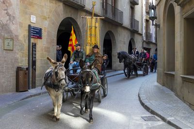 Festa de Sant Antoni Abat