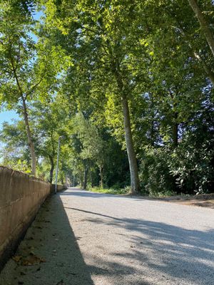 La intervenció s'ha completat en menys d'una setmana