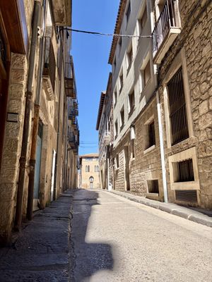 CONVOCATÒRIA DE PLE: L'Ajuntament de Solsona vota la congelació de taxes, impostos i preus públics  