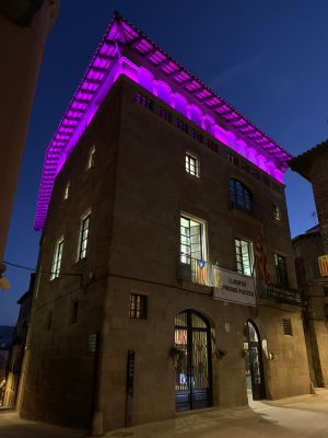 Il·luminació lila de l'ajuntament solsoní pels infants prematurs 
