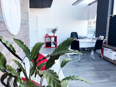 Immobiliària Solsona, un dels establiments beneficiaris de l'última convocatòria