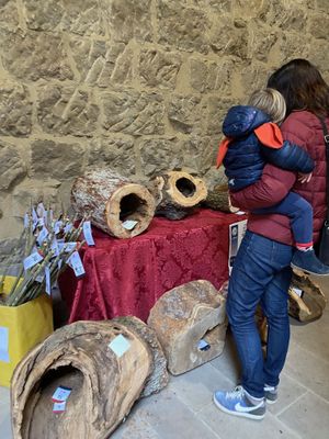 La desena Fira del Tió de Solsona es consolida com la més participada malgrat el temps  