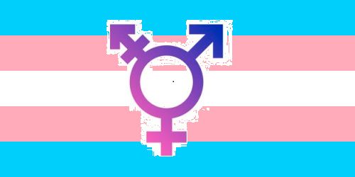 Les institucions solsonines se sumen a la reivindicació de la despatologització trans