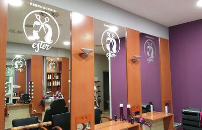 Establiment beneficiari dels ajuts en l'edició passada