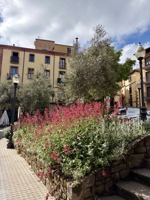 Solsona aconsegueix les quatre Flors d’Honor de Viles Florides