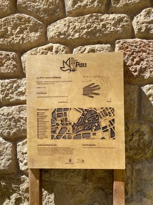 Carme Cusí i Dolors Riu, del SOM, amb el regidor de Cultura, Albert Colell, a la plaça de Ribera