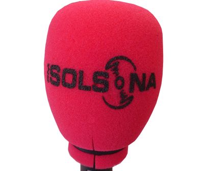 Solsona celebra aquest divendres la primera sessió del Consell Municipal de Comunicació del mandat