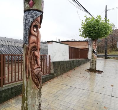 Solsona converteix en peces escultòriques arbres urbans que s’han de tallar  
